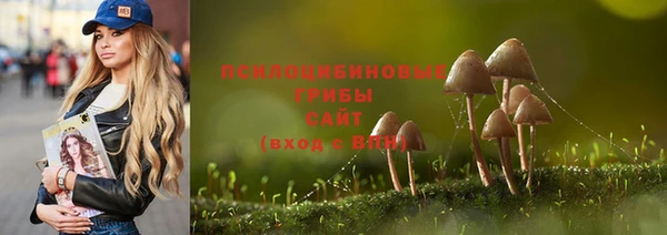 apvp Дмитров