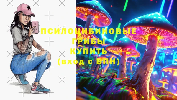 кристаллы Ельня