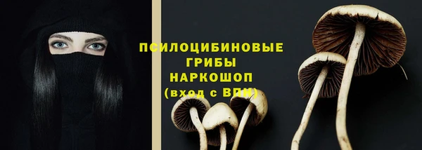 круглые Дмитриев