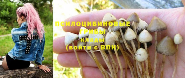 мдпв Усолье-Сибирское
