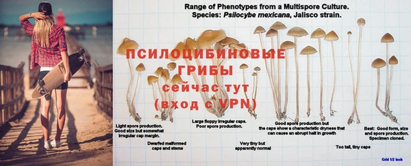 круглые Дмитриев