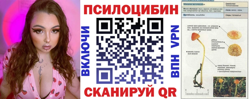 mega ссылка  Ростов  Галлюциногенные грибы Psilocybine cubensis  где купить наркотик 